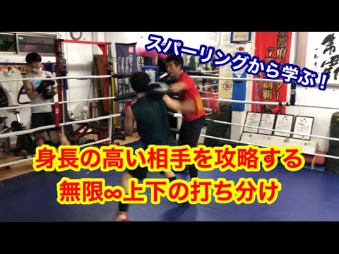 スパーリングから学ぶ！身長の高い間を攻略す上下の打ち分け