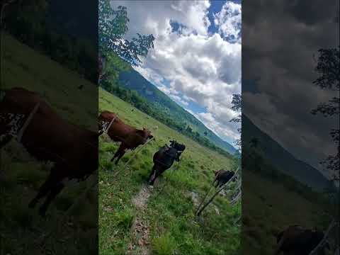 loma del esperon en artemisa