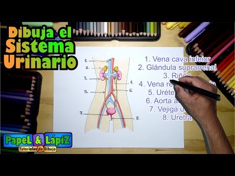 Come effettuare il trattamento di helminths Catrame per bambini da lyambliya