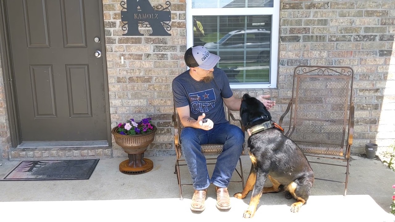 Dog Obedience Training Tulsa | Tip Top K9 Reviews
