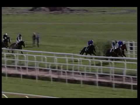 Swartlings Memorial 2009