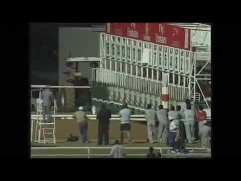 Dubai Millennium Tribute