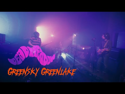 Dead Meadow - Greensky Greenlake (Live @ DTH Studios)