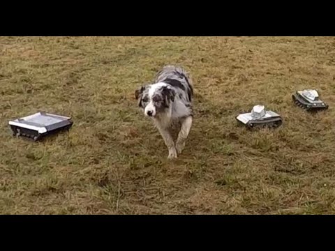 RC Tank Battery Test Drive BB-Heavy Brushless & 2 king Tigers