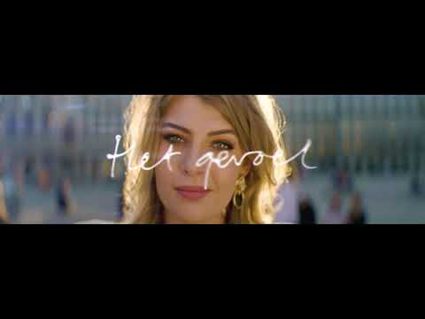 EDWIN EVERS - HET GEVOEL