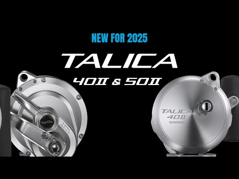 Shimano Talica A TAC40IIA 2-Speed Lever Drag Reel - TackleDirect