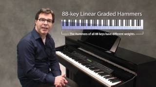 Clavinova CLP-480PE, зображення 1