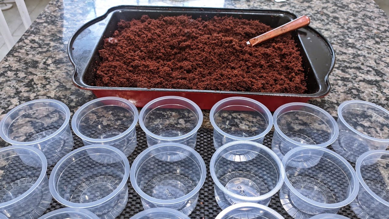 VOCÊ NÃO VAI ACREDITAR 😱 SÓ FAÇO ASSIM FAZ ANOS / É SEMPRE SUCESSO GARANTIDO 🔥