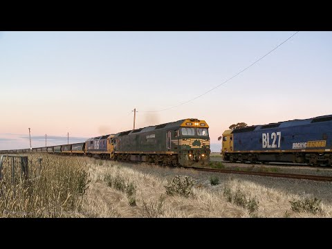 7731V Pacific National Grain Departs Gheringhap (19/8/2021) - PoathTV Australian Trains & Railways
