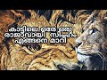 lion attitude #real story of lion#malayalam motivation #