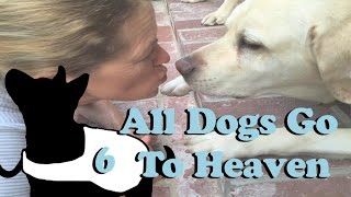 All Dogs Go To Heaven 2.0 E6