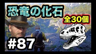 【実況】レッドデッドリデンプション2  Part.87 「恐竜の化石」全30個をのんびり雑談しながら集める回【試される信念】