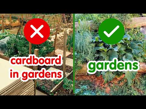 No Newspaper or Cardboard in Your Garden? Here's Why.