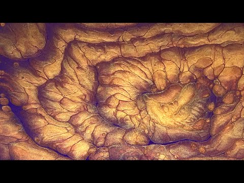 (379) INCREDIBLE 3D Metallic Boulder Cells Straight Pour - Fluid Acrylic Paint Pouring