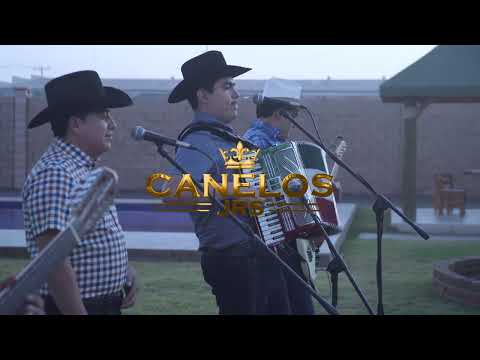 Dos Celulares - Canelos Jrs