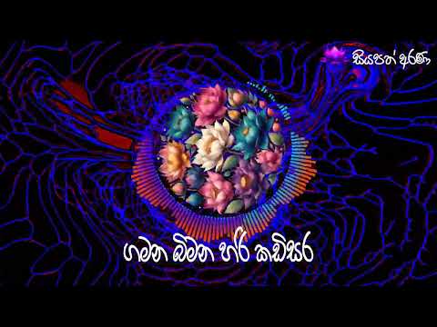 ගමන බිමන හරි කඩිසර