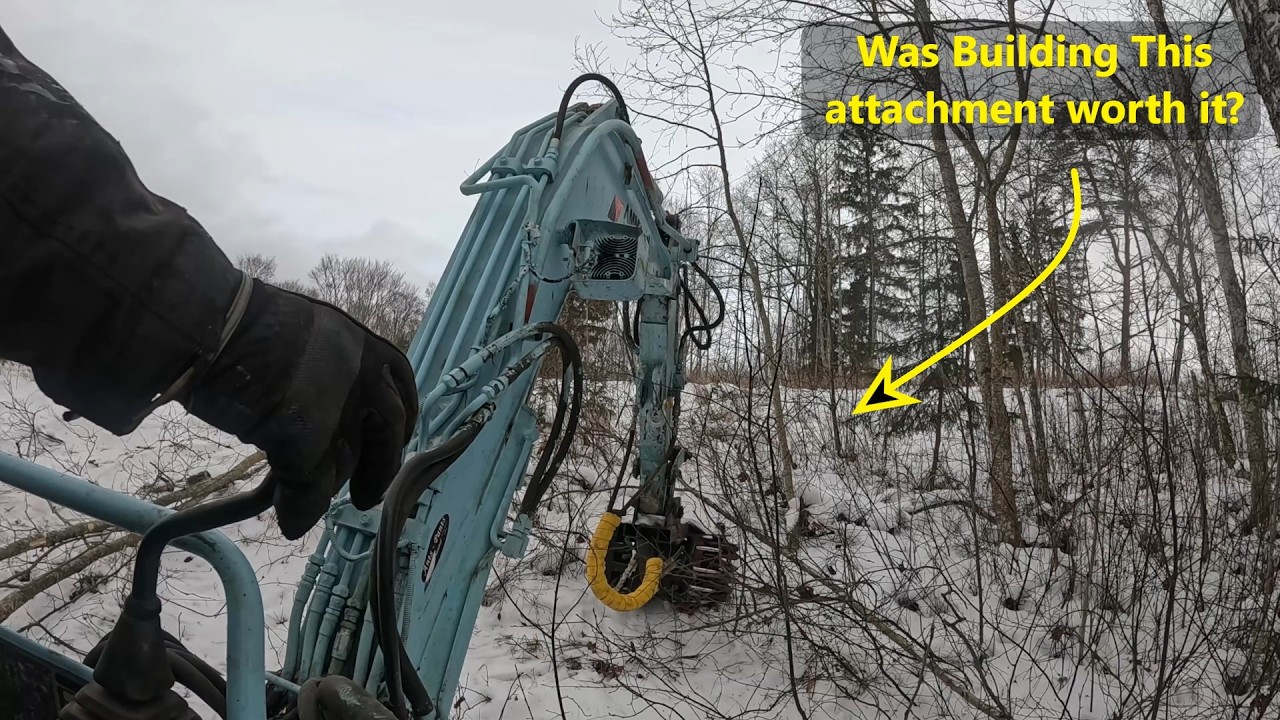 Doing Light Cutting & Removing Brush from the Forest