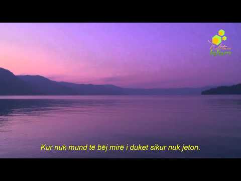 Rruga drejt lumturisë! - Shejh Shenkiti