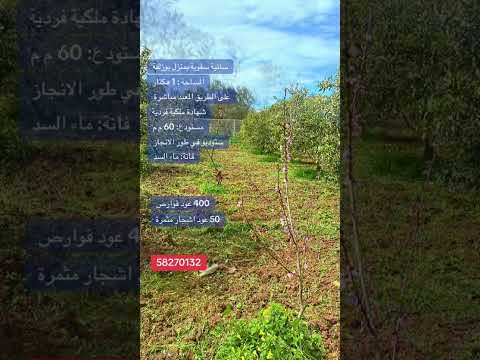Ferme à vendre à Menzel Bouzelfa – 1 hectare – Titre individuel