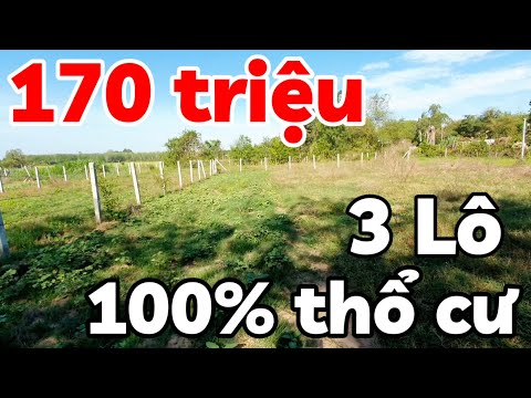 Đất 100% thổ cư 170 triệu sổ hồng riêng có 3 lô giá rẻ ở Phước Vinh Tây Ninh cách TPHCM 100km