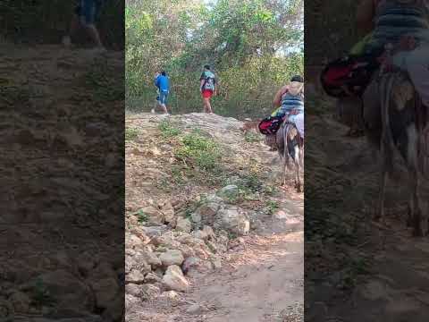 chalán Sucre rumbo a los pozos turísticos