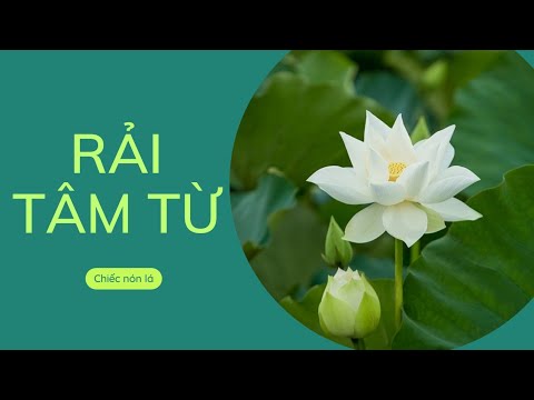 RẢI TÂM TỪ (thực hành)