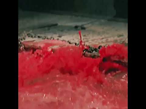 (free) xxxtentacion indie type beat - rotten feeling