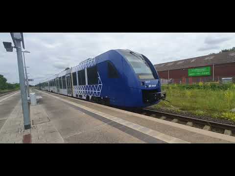 Mit dem Lint 54 von Vlexx von Wissembourg (F) nach Winden [2x 622]