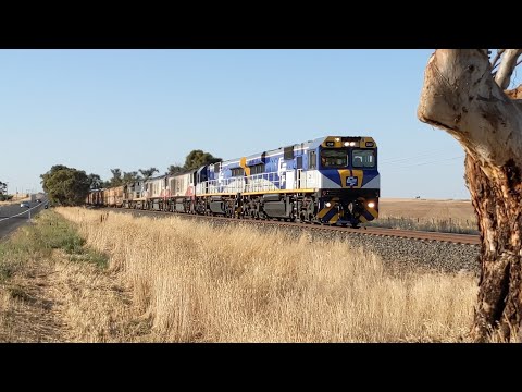 CM, CSR, CF and SCT classes on Pth/Mlb SCT 2PM9. 