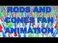 Blue Man Group-Rods and Cones 2.1 Fan Animation