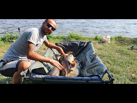 4 🎣 Pescar din Pasiune -Balta Nana Calarasi 2020// O partida reusita la Crap si Novac//🎣🎣🎣🐟🐠