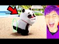 EXTREME TRY NOT TO LAUGH CHALLENGE IMPOSSIBLE DIFFICULTY