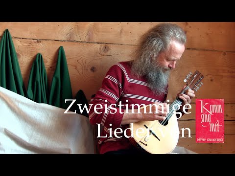 Wie lustig ist’s im Winter (Volkslied aus Österreich) - Toomas Rannu (Mandoline) #mandolin