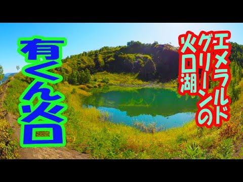 mur-végétal-intérieur-table-chaises-salle-manger-bois-suspensions