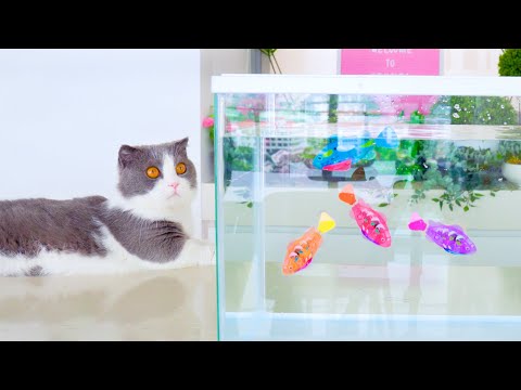 Фото Cats Try Fishing!