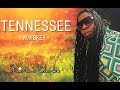 TENNESSEE WHISKEY Marlon Clarke REGGAE