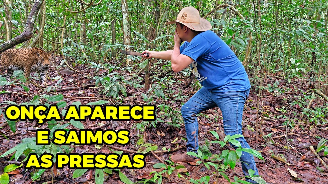 DEU RUIM! A Onça Apareceu e Tivemos Que Sair Rápido!.