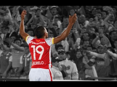 Wilson Morelo ● Gracias Goleador