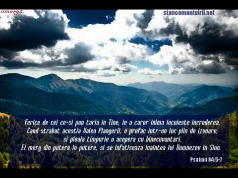 Vasile Oprea - Doamne da-ne intelepciune