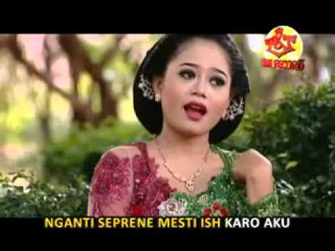 Download Didi Kempot Nyemoni Mp3 Mp3 dan Mp4 Terlengkap Gratis