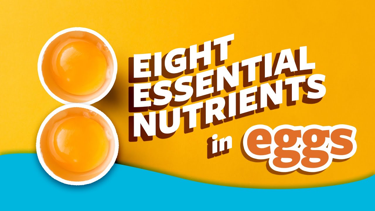 8 Essential Nutrients in Eggs | Ask Organic Valley