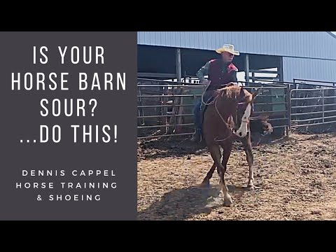 D/C  IS YOUR HORSE BARN SOUR? Do This...