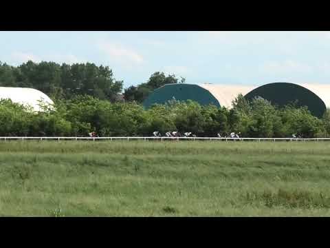 Trka "Glas Podrinja" 31.05.2020  CHANTILLY - Milan Konkolj