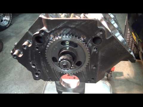 AMC Roller Camshaft  Installed