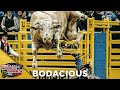 BODACIOUS Receives the 2019 BRAND OF HONOR