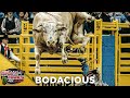 BODACIOUS Receives The 2019 BRAND OF HONOR
