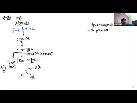 Reproductive system part 2 |cee lecture |by milan ghaire sir