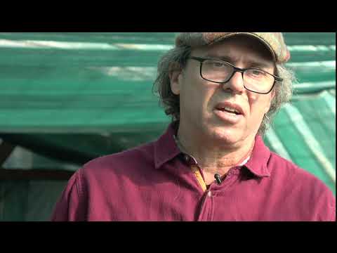 Vidéo vedette — Spiruline