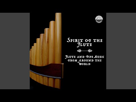 Cantos da Floresta (Songs from the Rain Forest)