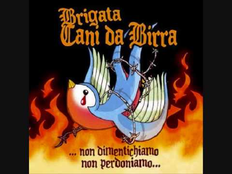 Brigata Cani Da Birra-Verde Irlanda